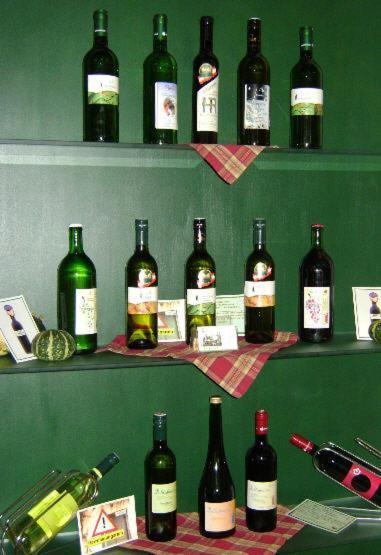 Weingut Zur Schlafmuetze Hotel Herrnbaumgarten ภายนอก รูปภาพ